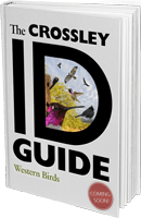 Crossley Bird ID Guide Western Birds Coming Soon